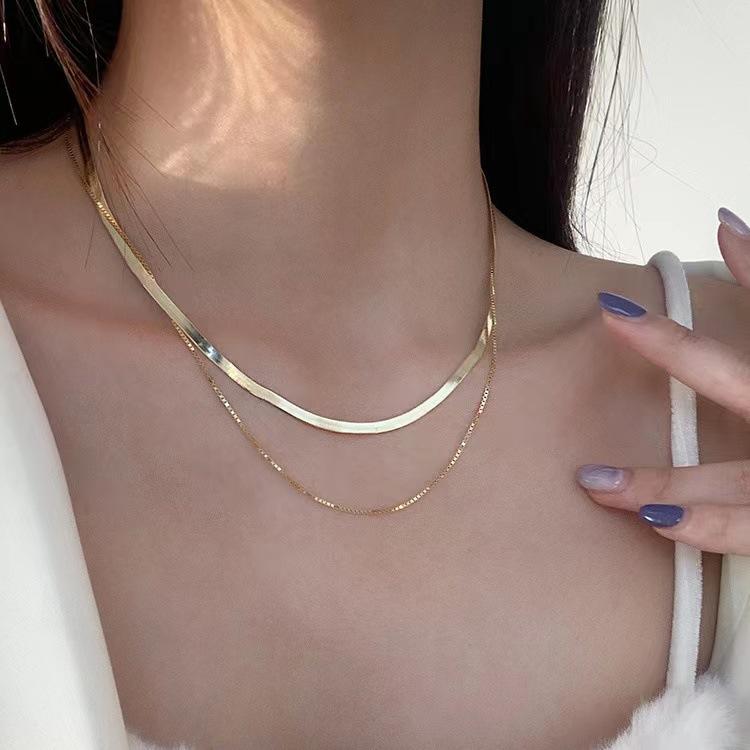 Double-layer Snake Bone Chain Necklace Women's Flat Sterling Silver Ins Hip-hop Personalized Retro Stacking Wear Simple Niche Short Neck Chain