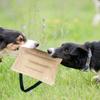 Jute Dog Training Bite Pack German Shepherd Horse Training Supplies Release Pet Nature Pet Toys