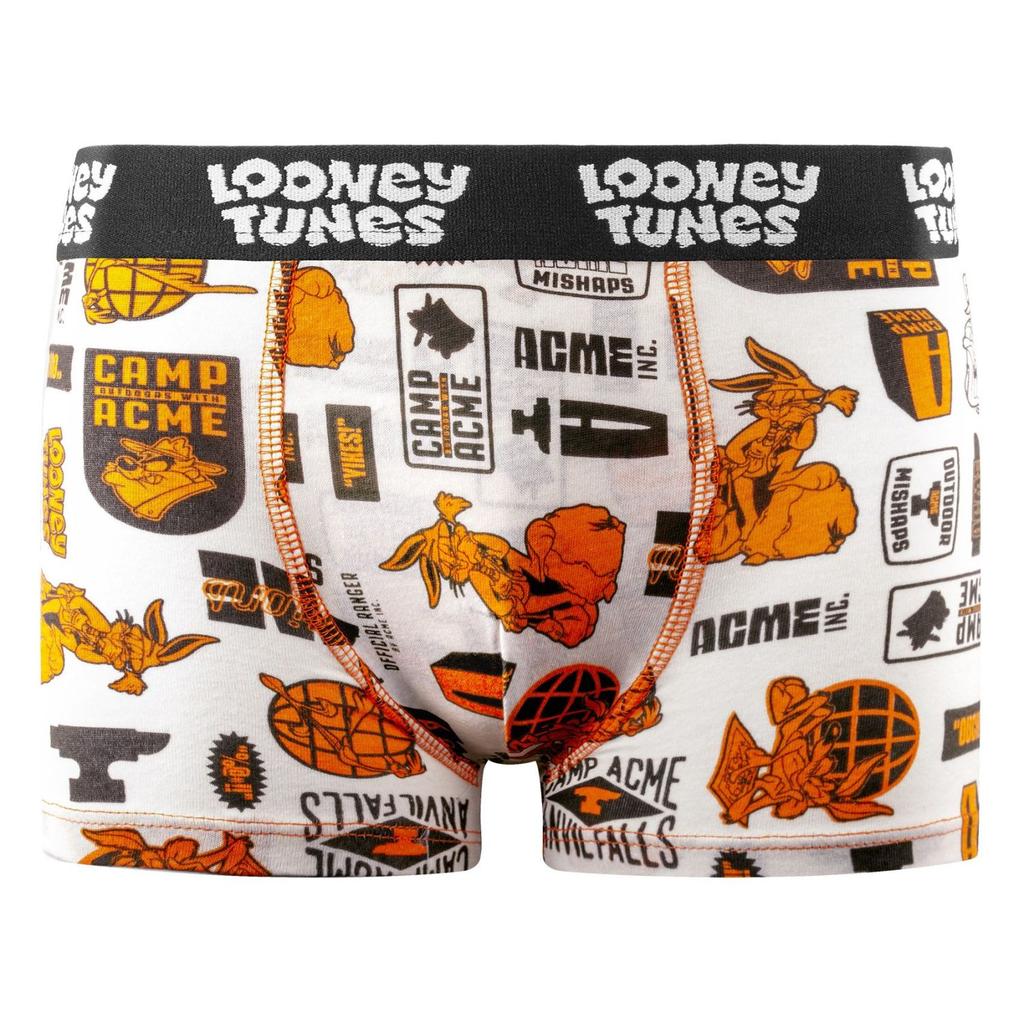 Lot de 4 boxers enfant Looney Tunes