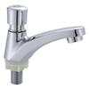 Single Cold Press Basin Faucet with Automatic Time-Delay