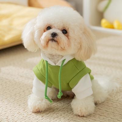 Hooded Bigbear Sweater Thin Autumn and Winter Traction Cat Teddy Bigbear Yorkshire Puppy Dog Pet Clothing