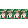 Bulk Purchase TO-PLAN Foot Detox Pads 30 Sheets x 4 Packs