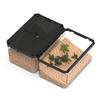 Reptile Enclosure Terrarium Transparent Reptile Breeding Box Animal Habitat Cage for Turtle Scorpion Pet Hatching Container