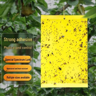 Menaj și curățenie – Împotriva insectelor
