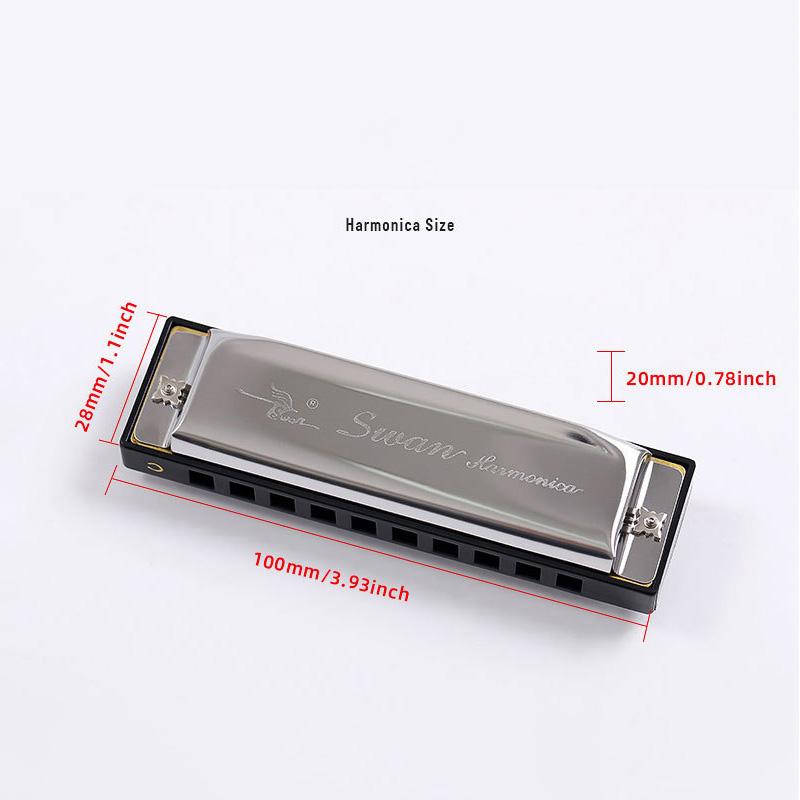 Mundharmonika 10 Löcher C-Ton Mundorgel Phosphorbronze Gehäuse Diatonische Anfänger-Mundharmonika Set für Kinder