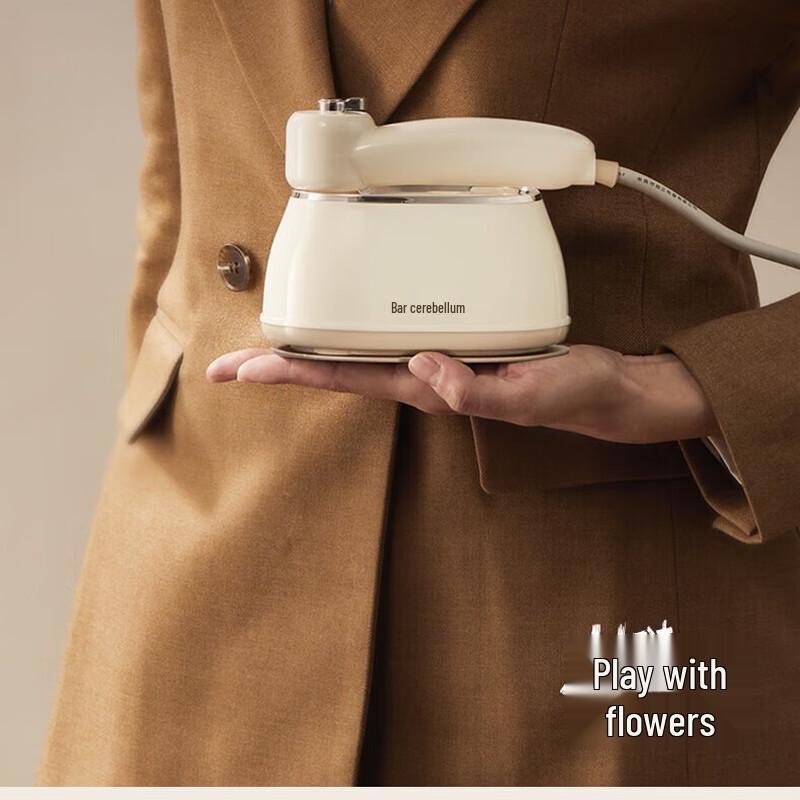 

Bear Portable Handheld Steam Iron