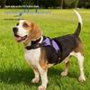 Hunde – Hundehalsbänder & Leinen