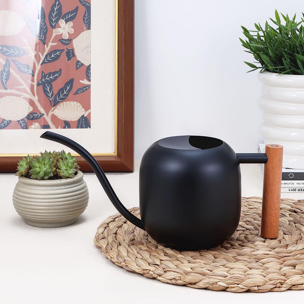 Stainless Steel Long-Spout Watering Can with Misting Sprayer for Gardens