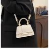 Pure Color Minimalist Handbag Fashionable Single Shoulder Crossbody Bag Women's Faux Leather Square Purse KTB