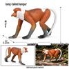 Realistic Animal Heart Model Toy: Lemur, Raccoon, Orangutan, Baboon