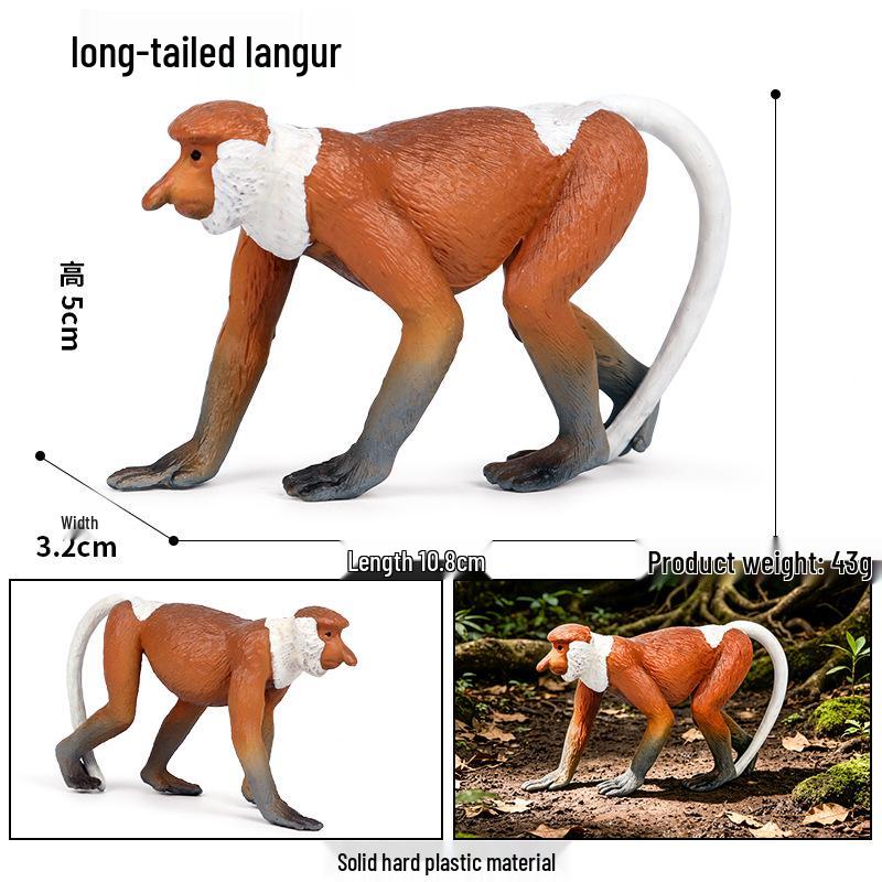 Realistic Animal Heart Model Toy: Lemur, Raccoon, Orangutan, Baboon