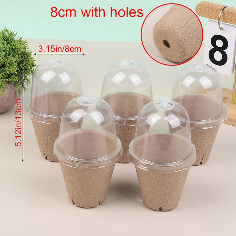 

5 шт. биоразлагаемый целлюлозный рассадный стаканчик с прозрачной ПЭТ-крышкой, горшок для проращивания рассады, садовые посадочные принадлежности
