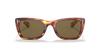 CARIBBEAN Sunglasses 0RB2248 BROWN 52 Ray-Ban Men's 954/57 B-15