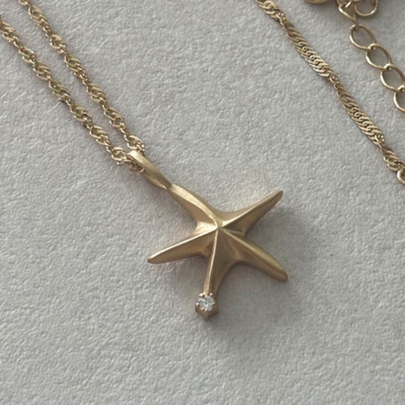 Eveningbell [silver925] Dancing Star Necklace (2color)