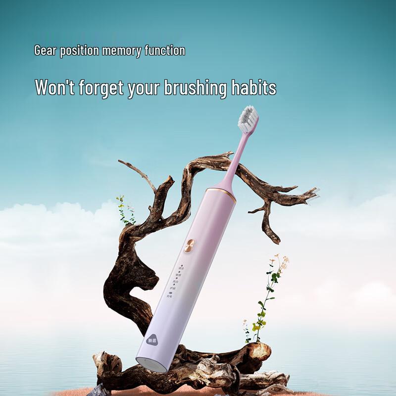 

Ingenious T502 Ultrasonic Electric Toothbrush
