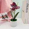 Flowers Faux Three Butterfly Orchid Green Plant For Home Office Decoration