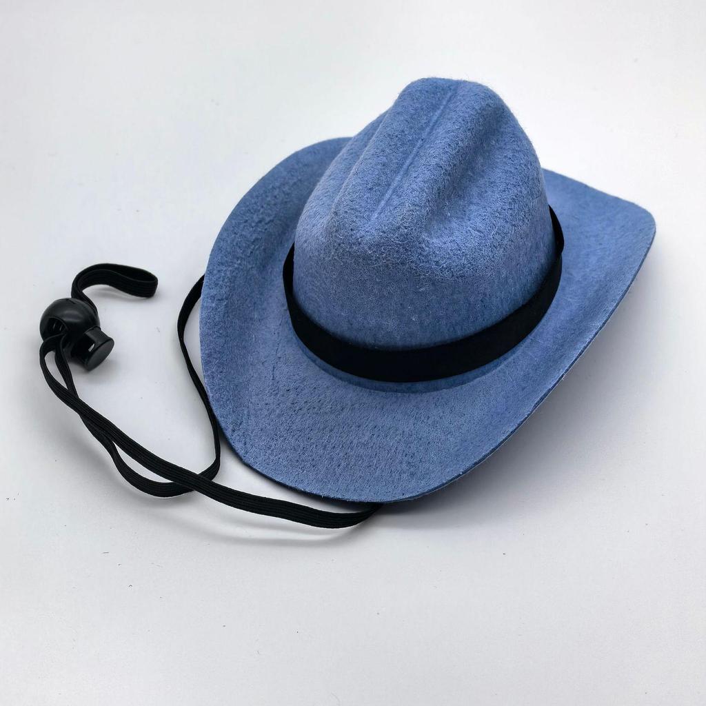 Denim Cowboy Hat with Star for Cats & Small Dogs