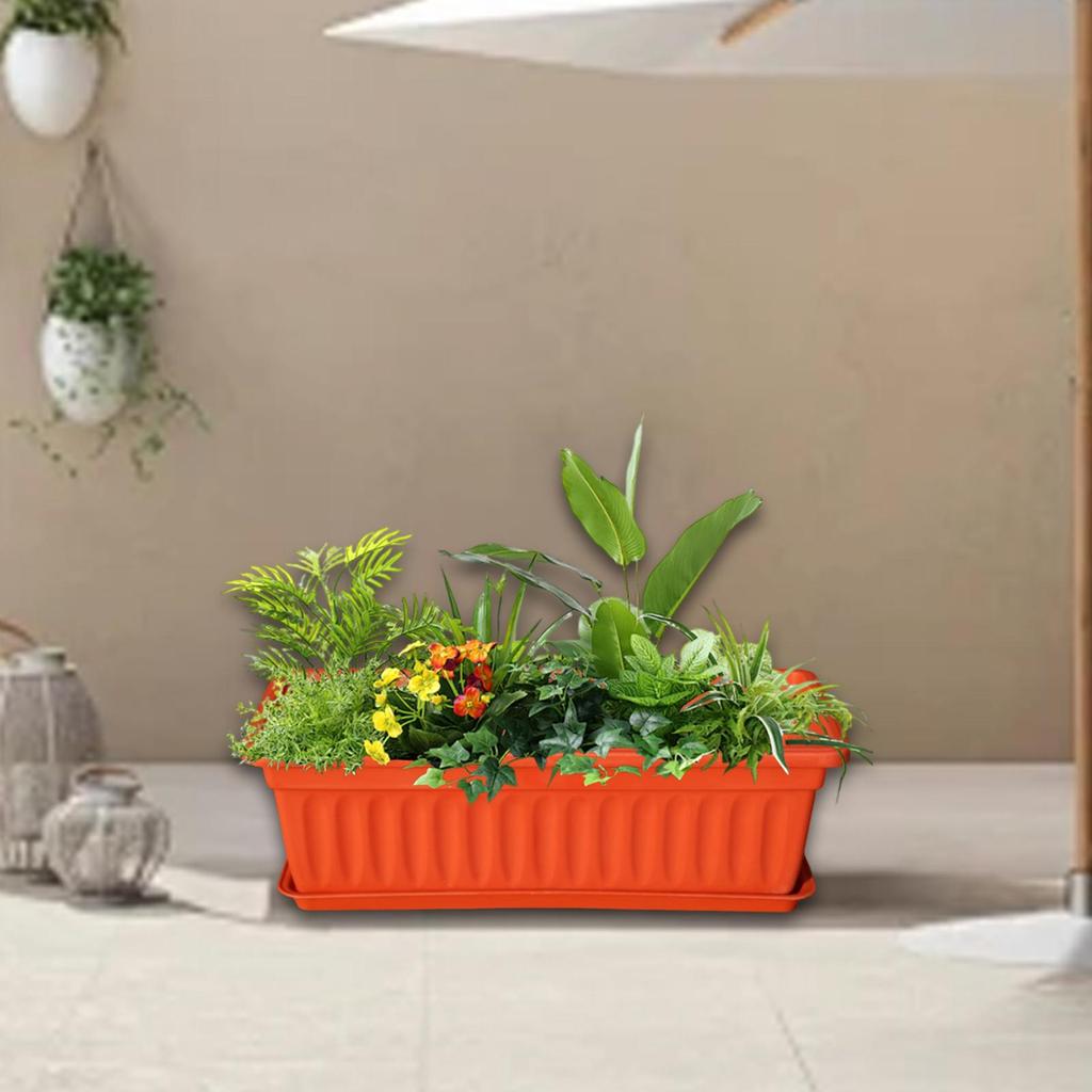 Flower box window box plant plant box vegetables flower -cooker box garden