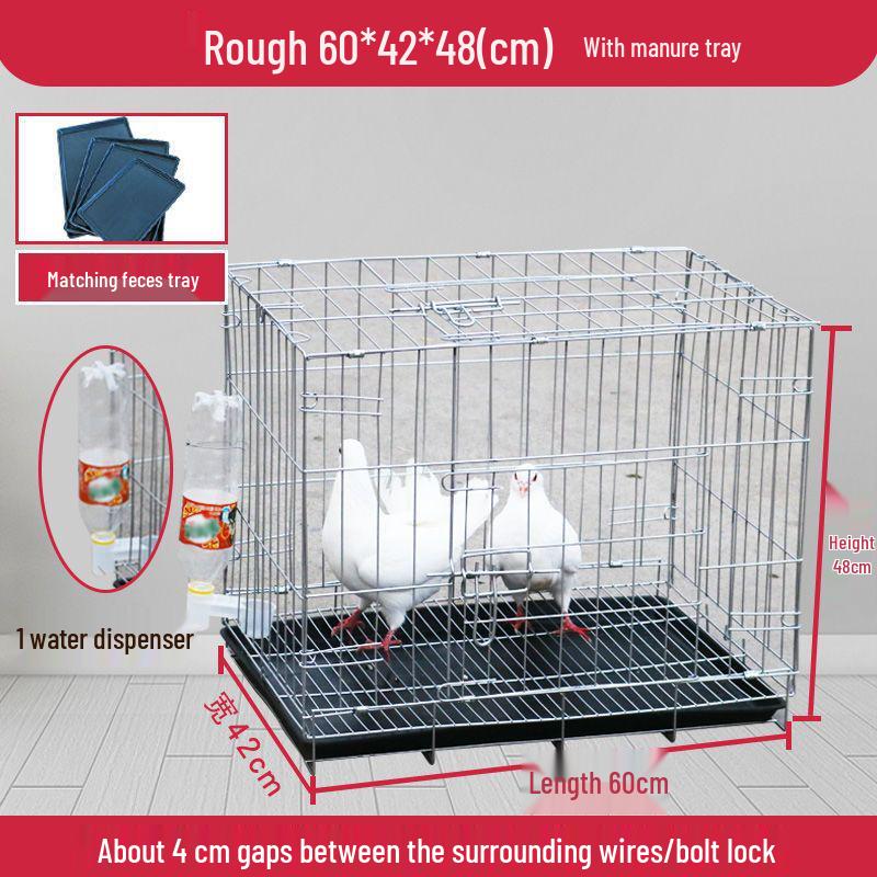 Large Pigeon Cage for Breeding & Pairing with Free Shipping - Ideal for Household Use