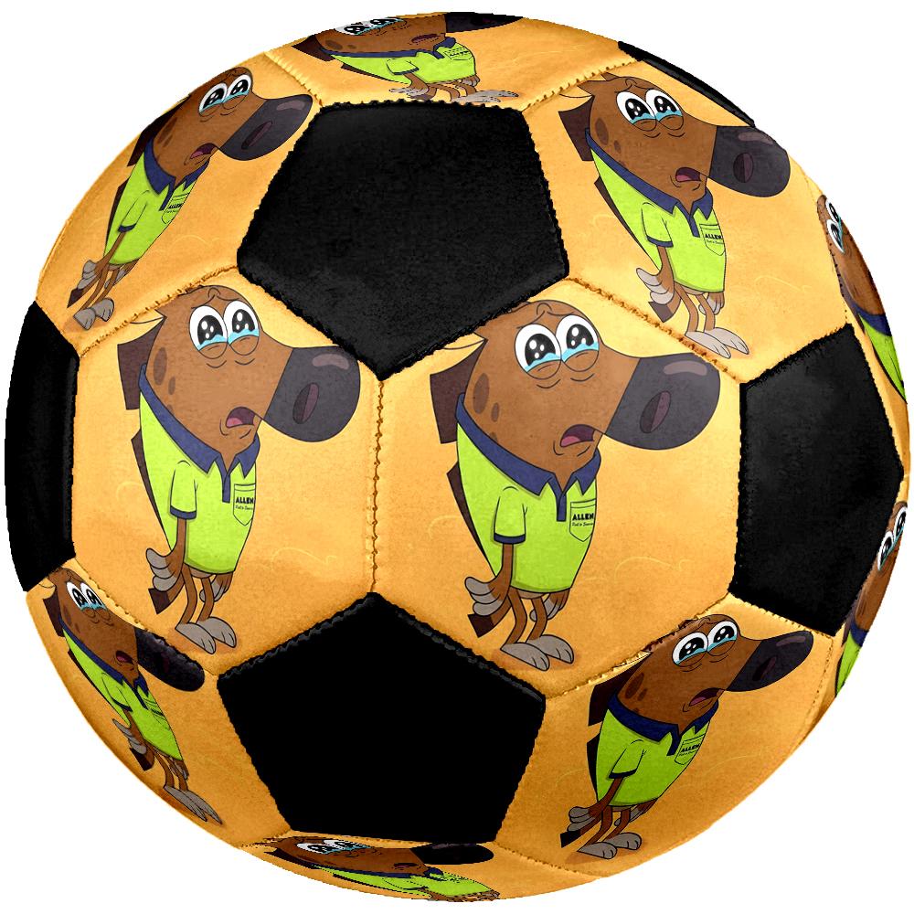 Zig & Sharko Theme Size 5 Soccer Ball, Suitable for Both Indoor and Outdoor Matches, a Gift Suitable for Everyone.