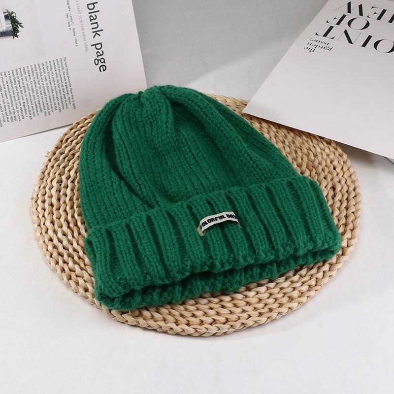 Women's Autumn and Winter New Big Head Circumference Warm Knitted Hat Korean Style Student Face Small Ear Protection Cold Hat Pile Hat