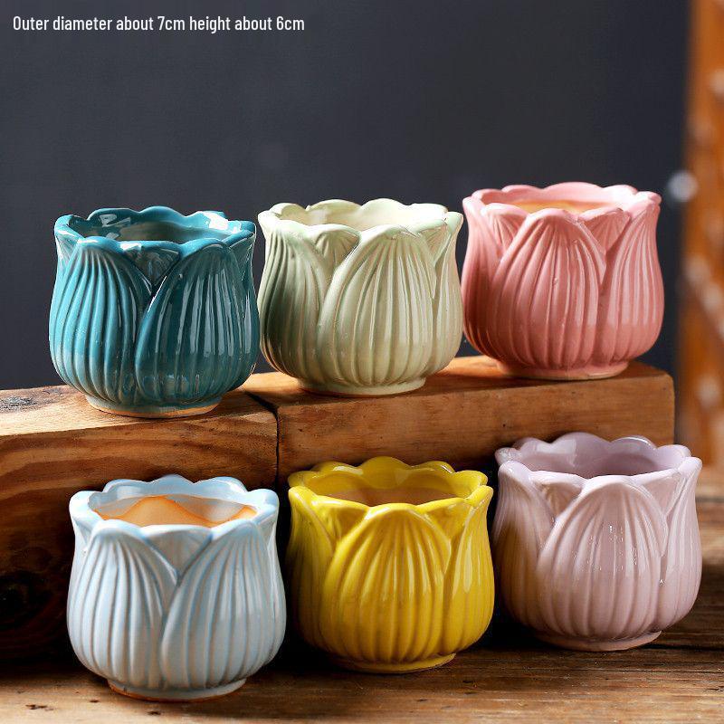 Breathable Ceramic Indoor Succulent Planter Set - Creative Small Flower Pots