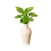 1:12 Dollhouse Miniature Mini Plastic Simulation Vase Green Plant Finished Flower Outdoor Doll House Model Accessories