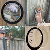 Durable Acrylic Fence Window Upgrade Pet's View Transparent Wide Application Pet Fence Window Dogs Accessories