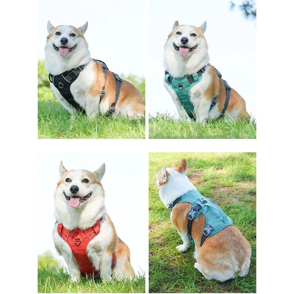 Reflective Vest Dog Harness Adjustable Design Nylon Pet Vest Protective Reflective Pet Harness Pug
