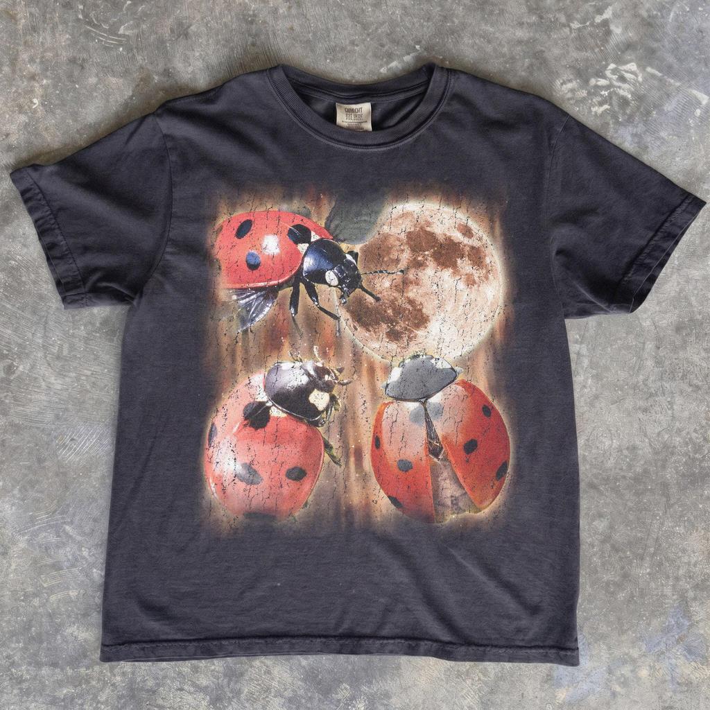 Ladybug Moon T-Shirt, Vintage Full Moon Insect Cottagecore Top