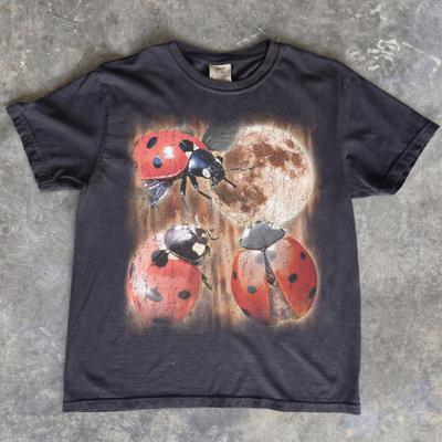 Ladybug Moon T-Shirt, Vintage Full Moon Insect Cottagecore Top