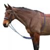 Hy Horse Lunging Aid