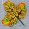 Artificial Banyan Maple Mango Leaves Fake Foliage Greenery Stems for Decoration Outdoor Landscape Tree Making
