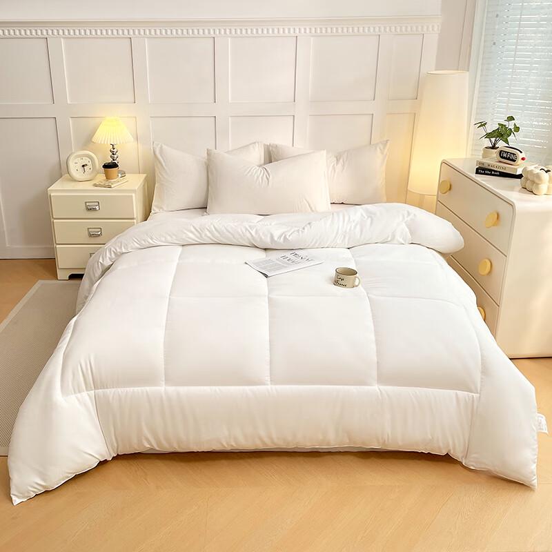 Pugu Nal Series All-Season Soft Warm Duvet Insert