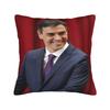 Pillow Case Pedro Sanchez Print  Pillow Cover For Chair Sofa Home Decor Novelty Pillowcases