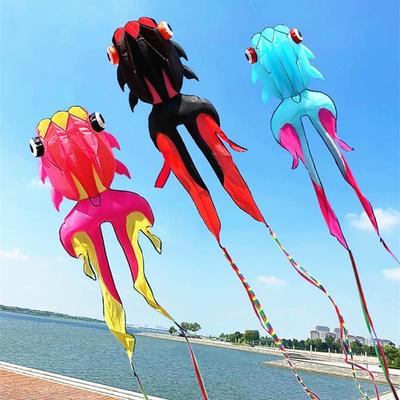 Weifang Colorful Long-Tailed Goldfish and Carp Kites - Easy To Fly In Light Breeze