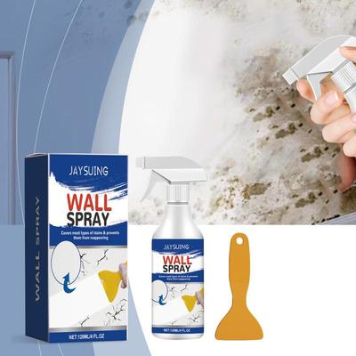 Jaysuing Vernice per Riparazione Muri Decontaminante Impermeabile E Resistente al Sole Vernice Ristrutturante Coprente Spray Ristrutturante per Muri