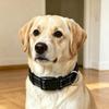 Reflective Anti-Burst Adjustable Collar for Medium/Large Dogs