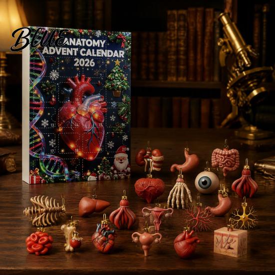Human Organ Christmas Ornaments Anatomy Advent Calendars 2026 24 Days Organs Countdown Calendar 2D Body Science Kits Acrylic Parts Pendants