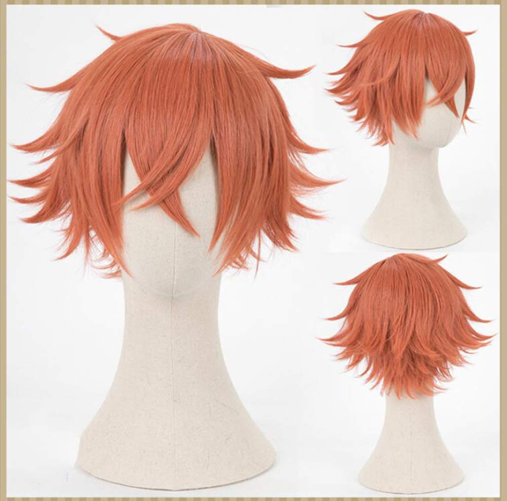 Cosplay Wig with Net, Heat Resistant, Halloween Costume (Ace Trappola)