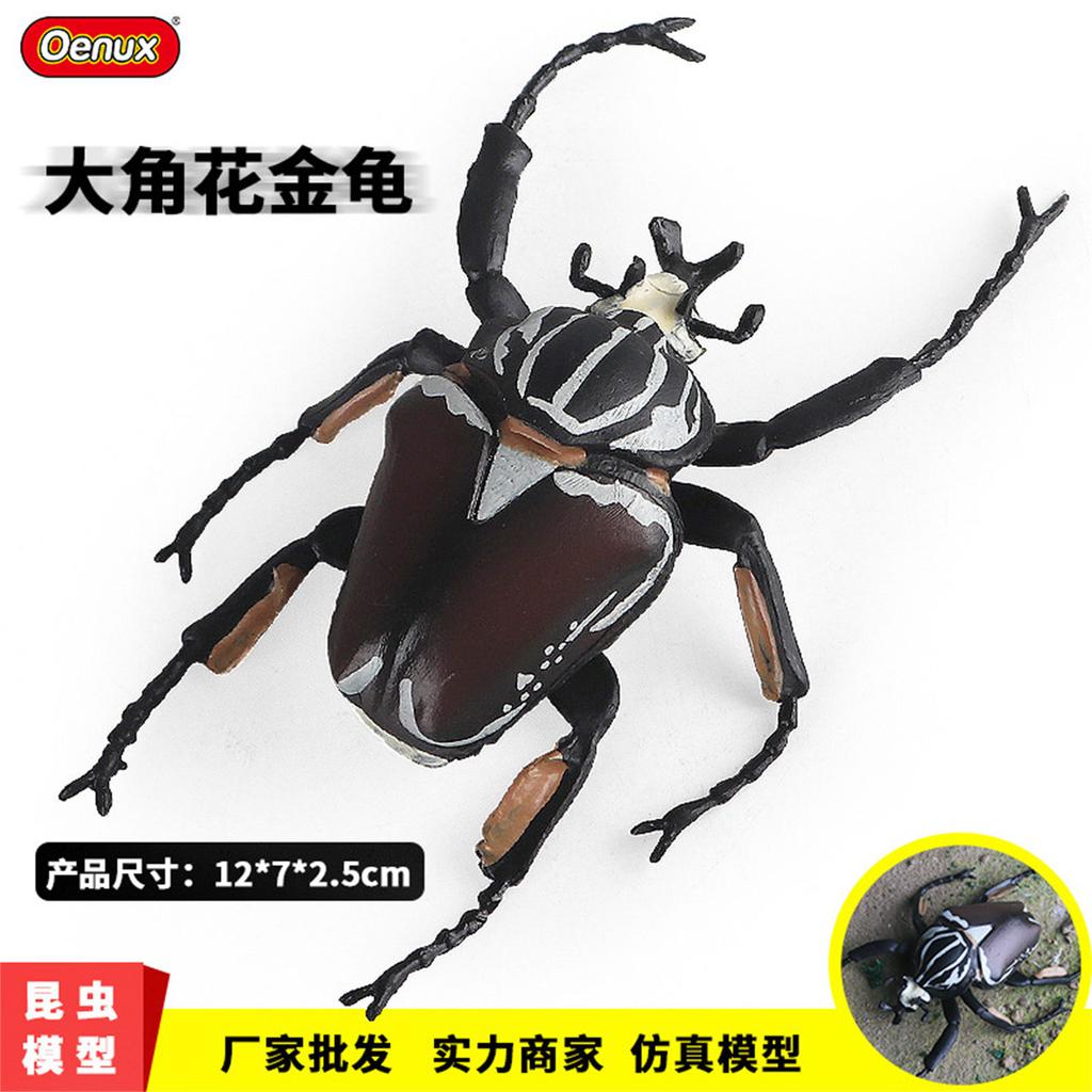 Spiders Dragonfly Gogga Model Realistic Scarab Toy for Kids and Collectors Toy Decorative Collection Gift