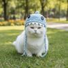 Funny Cat Knitted Hat Braid Design Pet Cosplay Headwear Cute Cat Warm Hat  Photo Props