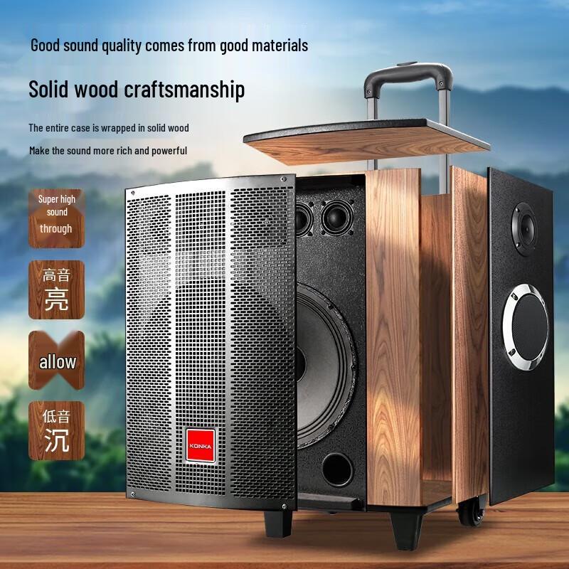 KONKA 12-inch Portable Karaoke Speaker with Dual Mics