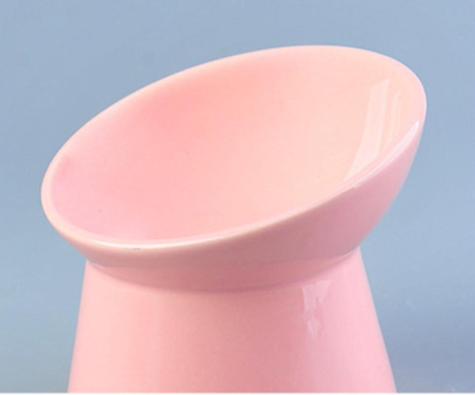 Sézected Dog Bowl Bowl for Animals Enclosure Bowl Ceramic Bowl for Cat Bowl for Cat Bowl for Water Tick Cat Dog Accessories Kitten | Dog Food