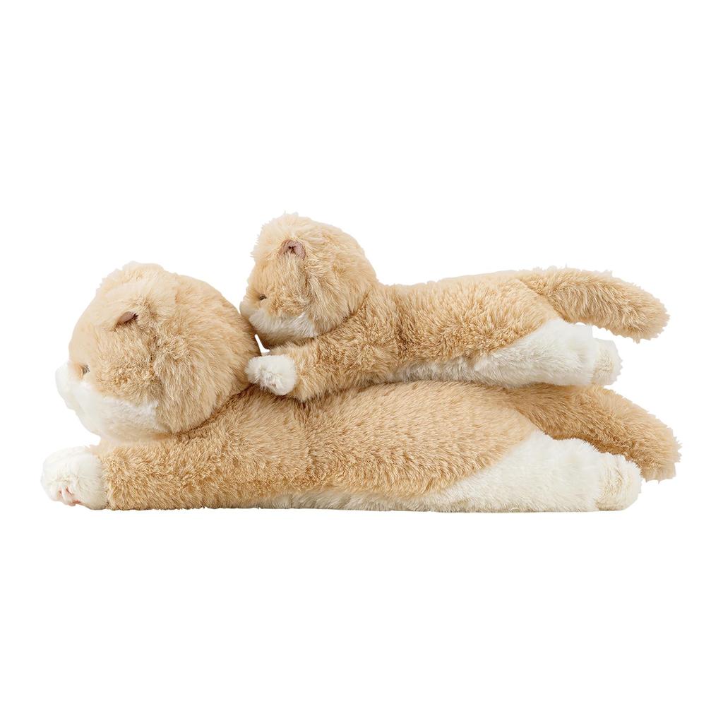 Livheart Mini Scottish Fold 30cm Fluffy Armrest Plush Cushion, "Kutattobiyori" (approx. long), Toy, 37110-14