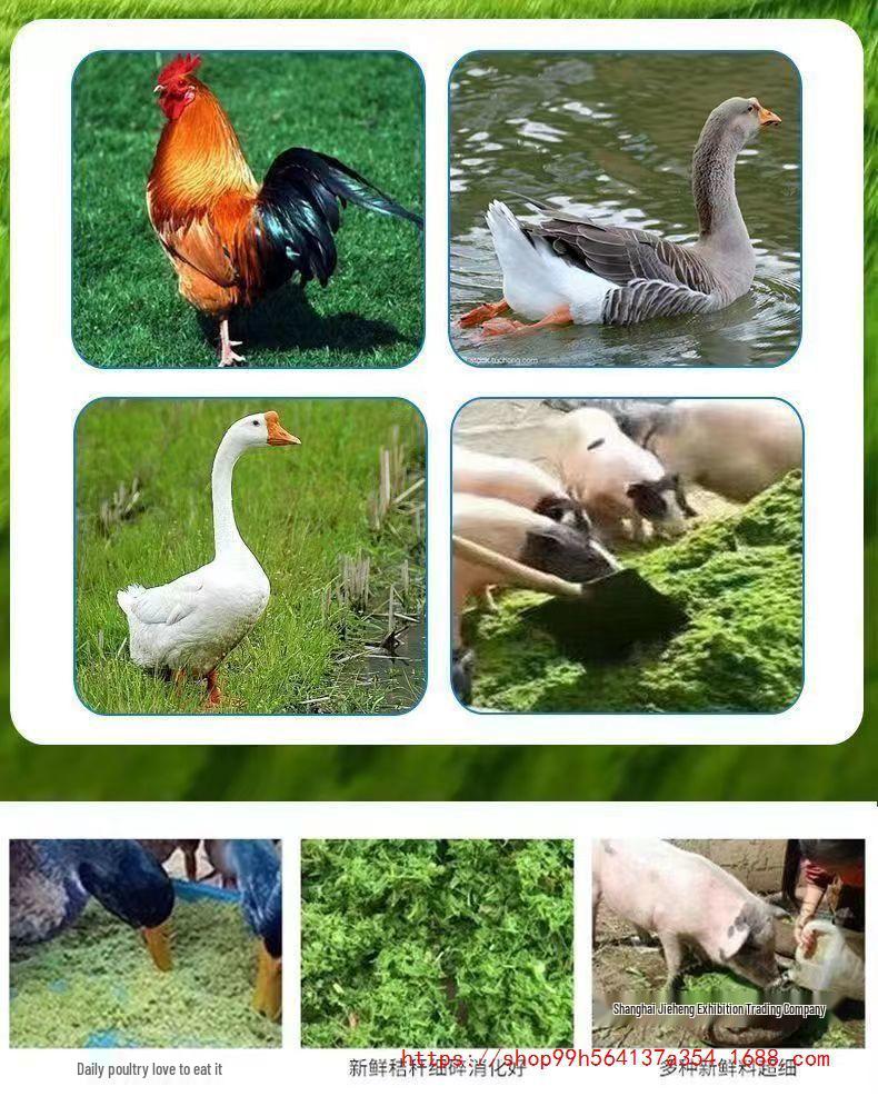 Ultra-fine Forage Pulper & Crusher for Corn Stalks and Green Grass - Dual Wet/Dry Use for Pig and Chicken Farming