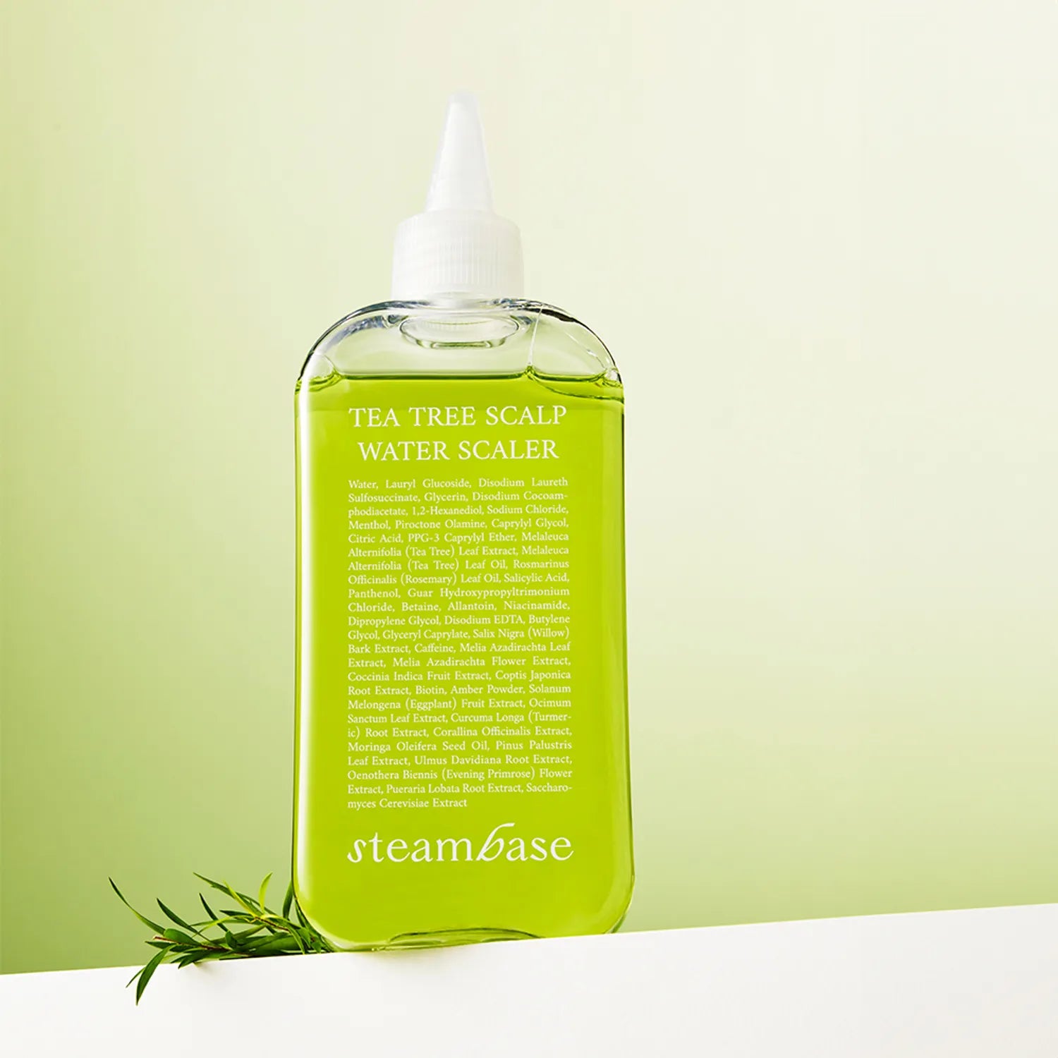 STEAMBASE Tea Tree Scalp Water Scaler 250mL (Hair loss care) 250ml
