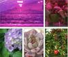 LED COB Lodine Tungsten Spectrum LED Grow Pink 380-840nm 100W 50W AC 220V  Led IC Plant Lights Fllood Light Vegetable Plan
