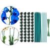Garden Plant Stakes With Clip Heavy Type Plastic Support Poles For Climbing Vine Flowers Regulable Length Outdoor Use