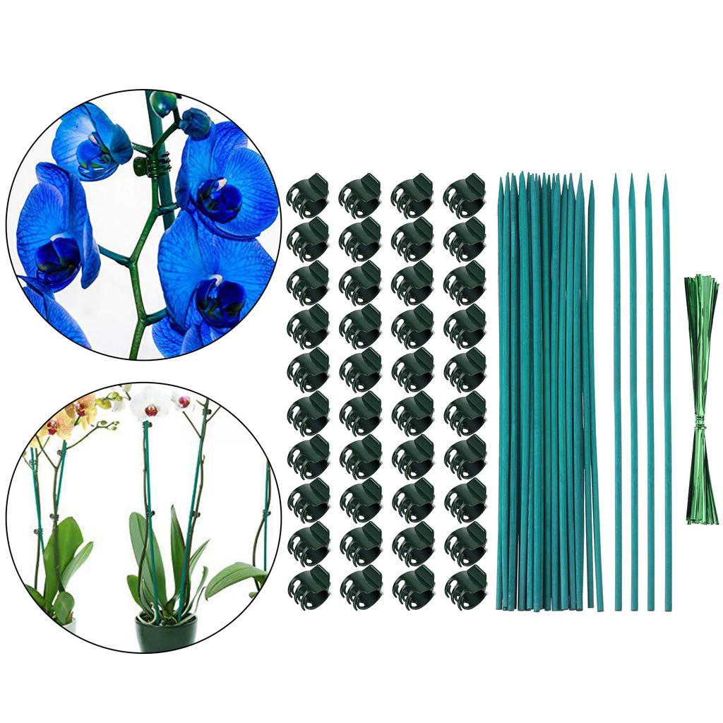 Garden Plant Stakes With Clip Heavy Type Plastic Support Poles For Climbing Vine Flowers Regulable Length Outdoor Use